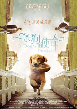亚洲欧美日韩电影